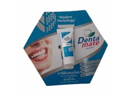 Denta Mate Herbal Toothpaste Concentrated formula 6г