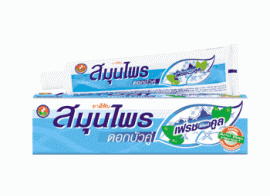 Twin Lotus Herbal Toothpaste Fresh & Cool, 40 г
